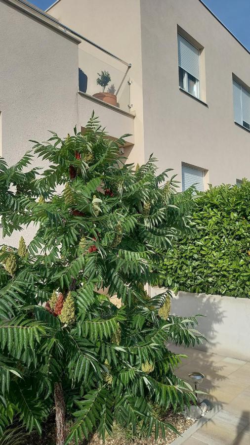 Apartment Dandelion ブレラ エクステリア 写真